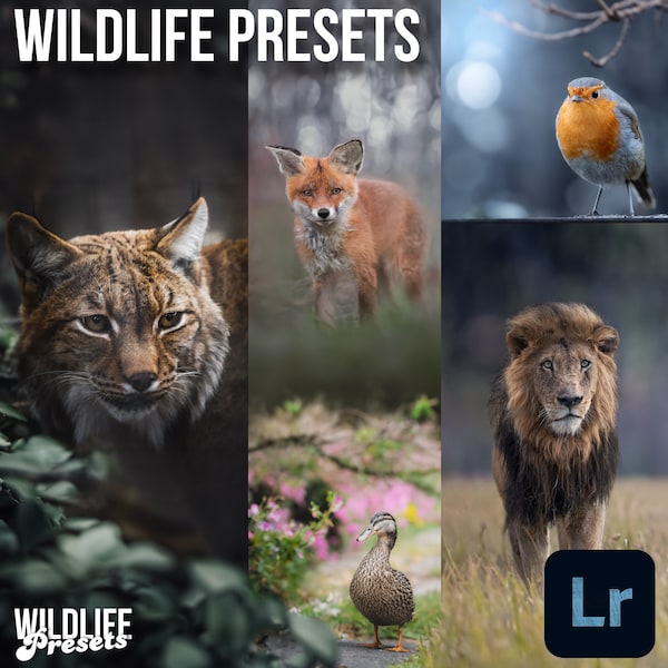 Wildlife Photography +89 Lightroom Presets