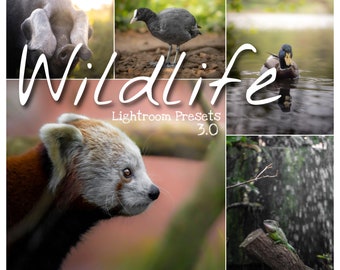 Wildlife Lightroom Presets