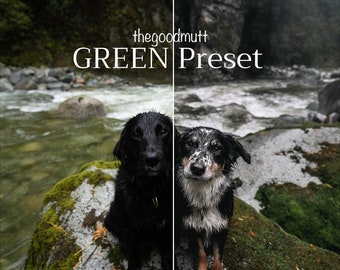 TheGoodMutt GREEN Preset (single)