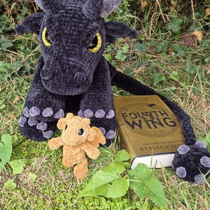 Peut inclure: Un grand dragon noir au crochet avec des yeux dorés et une longue queue, à côté d'un plus petit dragon beige au crochet avec des ailes. Un livre intitulé "Fourth Wing" est également présent. La scène se déroule sur de l'herbe verte.
