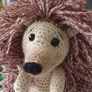 Bruno the Hedgehog crochet pattern