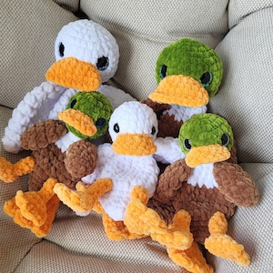 May include: A collection of handmade crochet ducks in various sizes. The ducks feature white, brown, and green bodies with orange beaks and feet. They have large, expressive eyes and are arranged on a neutral-toned surface.