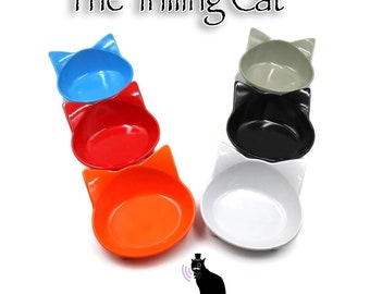 outdoor cat water bowl