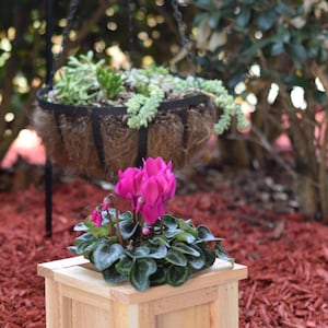 Wood Planter Box for Patio Herbs Wooden Display Artisan Garden Accent for Flowers Wood Container Housewarming Decor Planter Gift for Her