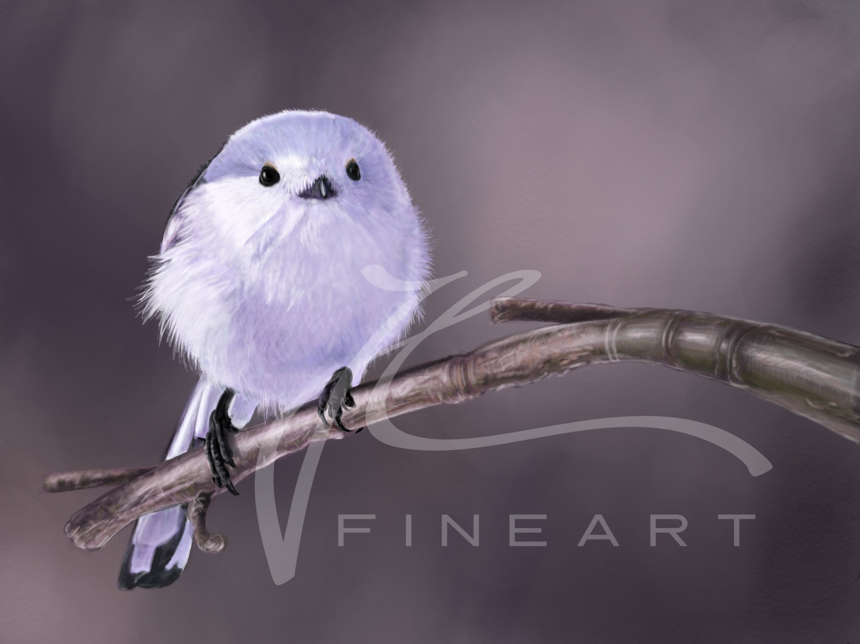 Shima Enaga . Print Bird Art Artwork Signed by Artist Etsy