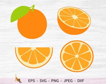 Download Orange Fruit Svg Etsy