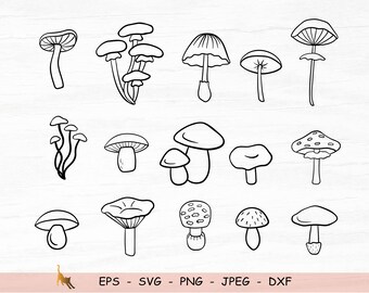 Download Mushroom Svg Bundle Etsy