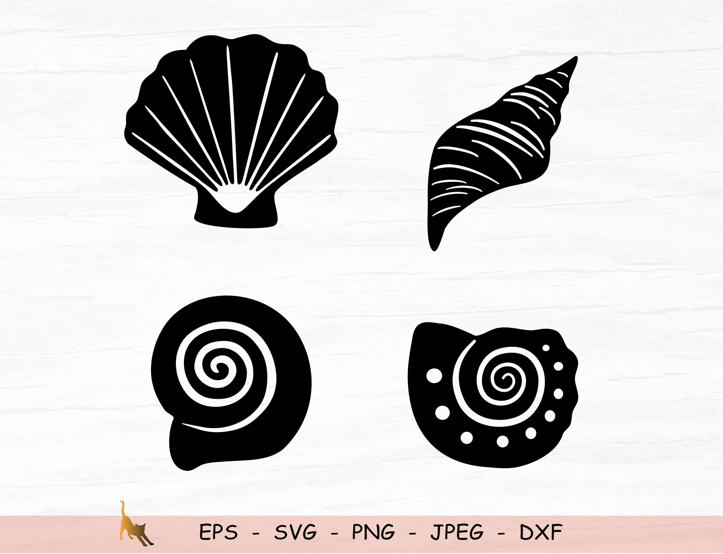 Seashell Svg Ocean Svg Summer Svg Files For Cricut | Etsy