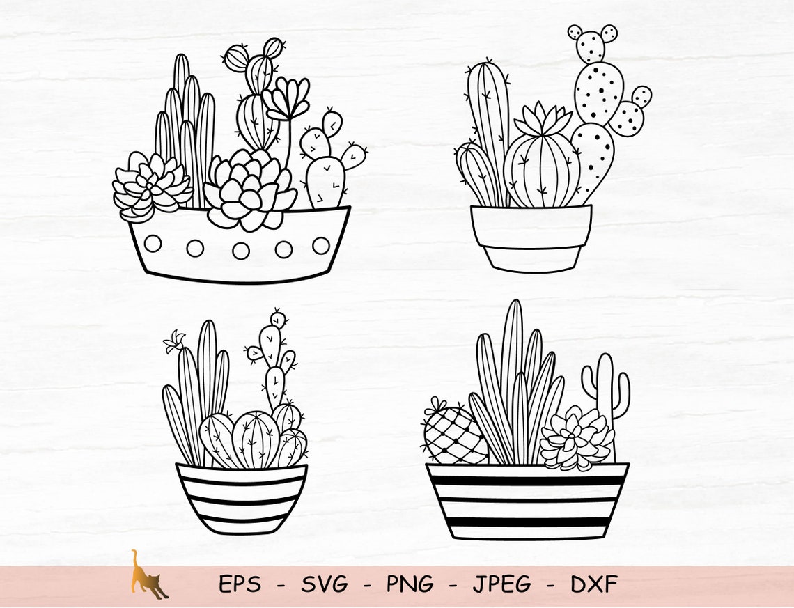 Succulent Svg Succulent Pots Svg Cactus Svg Cricut Files | Etsy