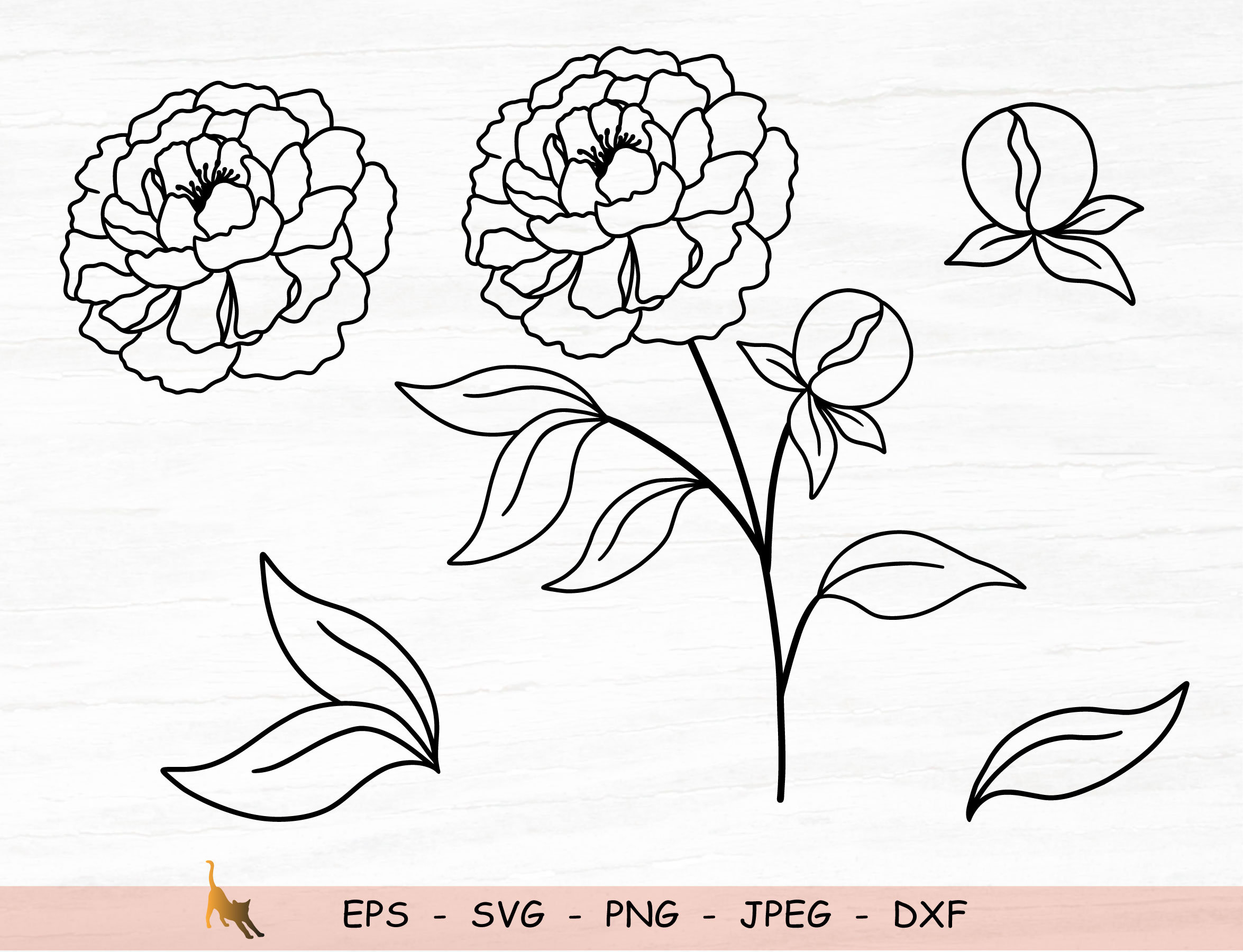 Peony Svg Leaves Svg Flower Outline Svg Files For Cricut Etsy