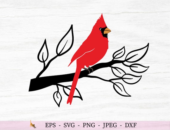 Cardinal Svg Bird on Branch Svg Bird Svg Cut Files for Cricut | Etsy