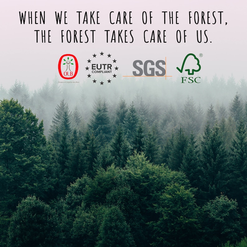 Puede incluir: Una escena de bosque brumoso con el texto "WHEN WE TAKE CARE OF THE FOREST, THE FOREST TAKES CARE OF US." La imagen tambi&eacute;n incluye tres logotipos: OLB, EUTR COMPLIANT y SGS FSC.