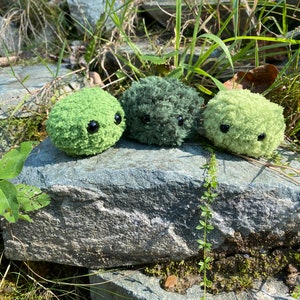Pocket Moss Fidget Stim Toy