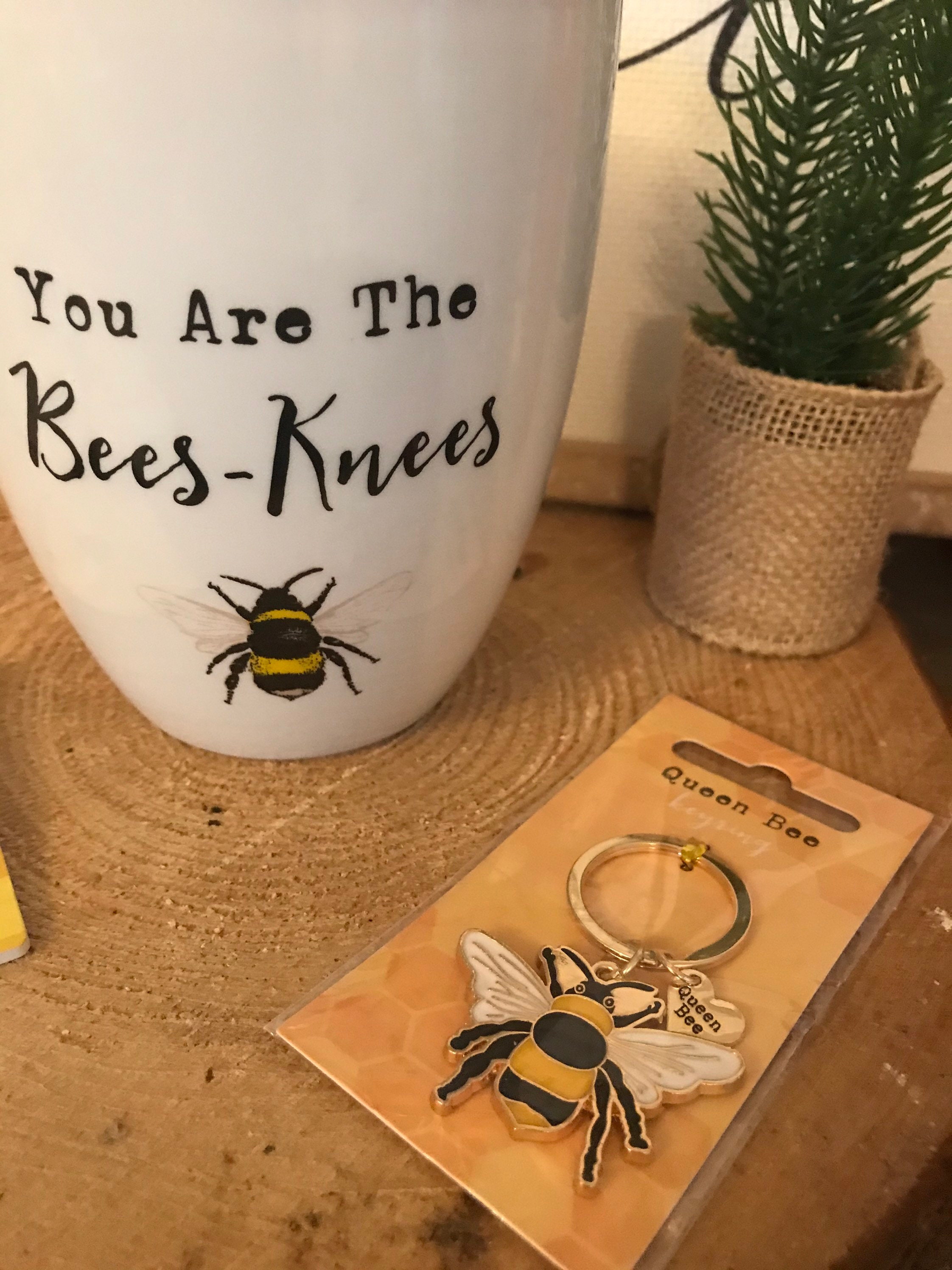 Bee Gifts / Bee Inspired Gift/ Bee Planter / Queen Bee Keyring Etsy