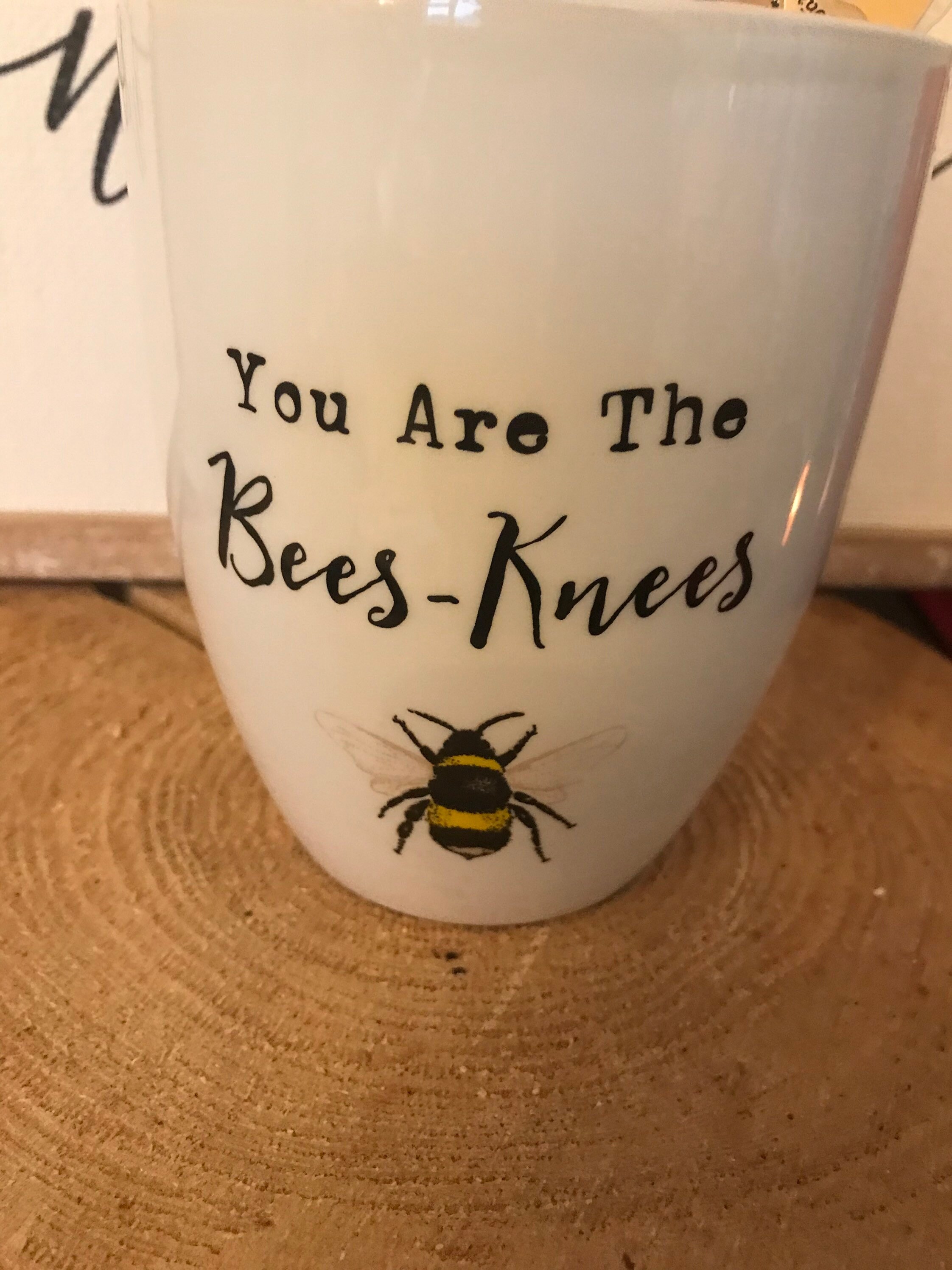 Bee Gifts / Bee Inspired Gift/ Bee Planter / Queen Bee Keyring Etsy