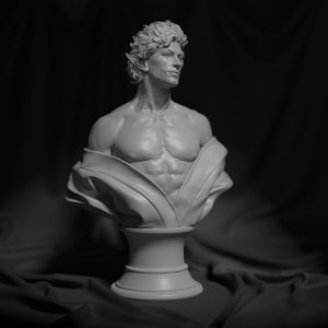 Astarion Baldurs-poort 3 Bleke elf beeldje 3D-geprinte hoge kwaliteit Cadeau voor gamers Verzamelbaar BG3 Figuur Astarion buste Unpainted