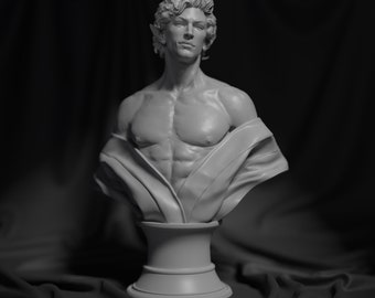 Astarion Baldurs Gate 3 / Figurina Elfo Pallido / Alta qualità stampata in 3D / Regalo per i giocatori / Da collezione / Figura BG3 / Busto di Astarion