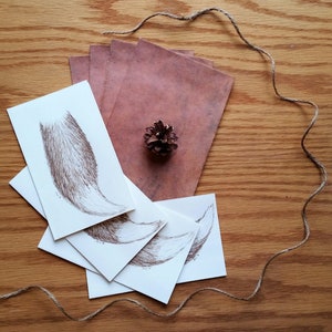 Fox Tail Cards