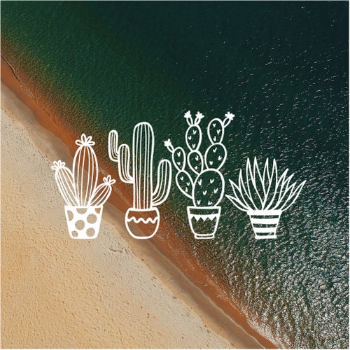 Cactus Plants Vinyl Decal Cactus Decal Boho Decal Etsy