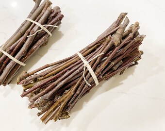 Natural organic fresh apple chew sticks, twiglets, twigs, branch for small pets, treats and toys, guinea pig, chinchilla, rabbit, hamster