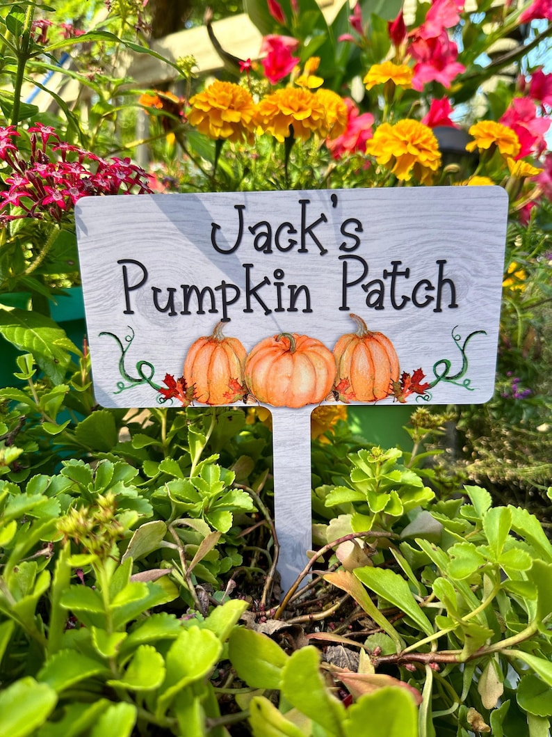 Pumpkin Patch Sign Outdoor, Pumpkin Patch Decor, Pumpkin Patch Farm Sign, Pumpkin Patch Garden Sign, Pumpkin Patch Metal Sign for Garden bild 5