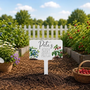 May include: A rectangular white garden sign with a stake featuring the text Pete's BERRY PATCH in black script and block lettering, flanked by detailed illustrations of a blueberry bush and a raspberry bush on a white background.