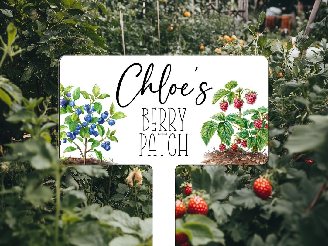 Garden Sign Personalized, Berry Patch Sign Custom, Berry Bush Sign ...