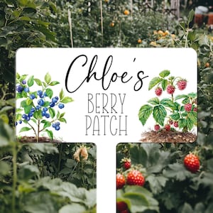 Garden Sign Personalized, Berry Patch Sign Custom, Berry Bush Sign Stake, Strawberry Patch Sign, Garden Decor Signs