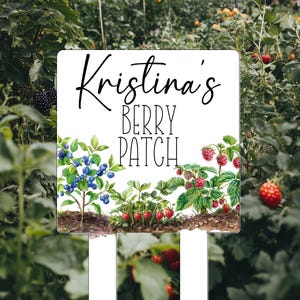 Letrero de jardín personalizado, letrero de huerto de bayas personalizado, letrero de arbusto de bayas en forma de estaca, letrero de huerto de fresas, letreros de decoración de jardín