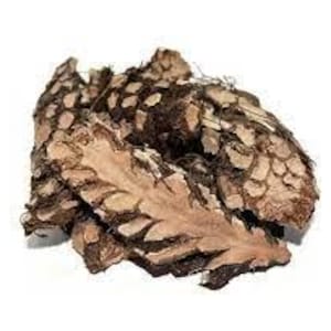 May include: Close-up of dried, textured bark pieces in shades of brown and tan against a white background. The bark has a layered appearance with a rough, organic texture. The pieces vary in size and shape, with some showing intricate patterns.