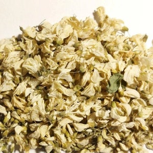 Dried Acacia Flowers Organic Loose Herbal Acacia Tea, Wild Harvested Blossoms for Natural Infusions & Holistic Wellness