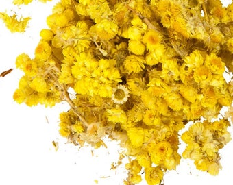 Dried Everlasting Flowers – Life Everlasting, Natural Decorative Blooms, Eco-Friendly Floral Decor