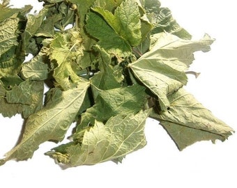 Blackcurrant Leaf organic wild-harvested dried Leaves for herbal Tea & Natural remedies, Handpicked, Eco-Friendly