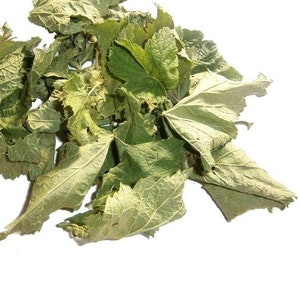 Blackcurrant Leaf organic wild-harvested dried Leaves for herbal Tea & Natural remedies, Handpicked, Eco-Friendly