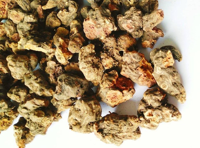 Dried TORMENTIL Root, Potentilla erecta image 10