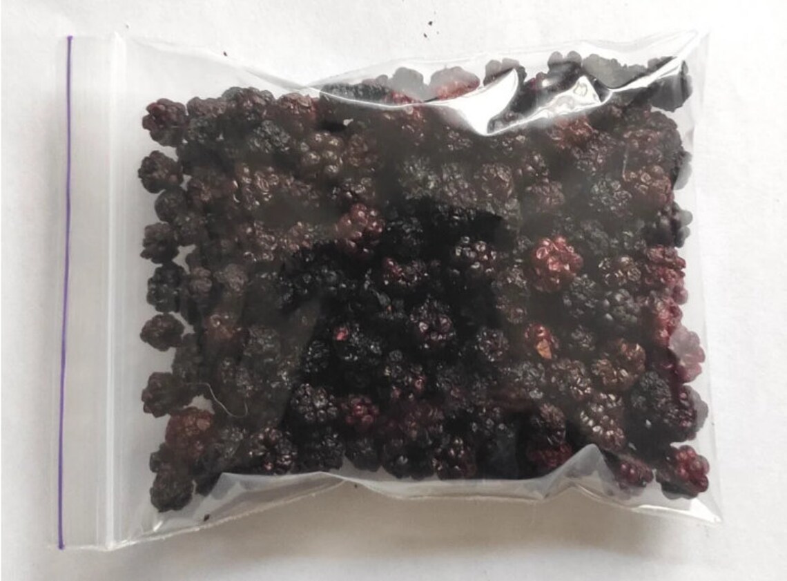 Dried Blackberry Berry Dried Blackberries Whole Blackberry Etsy