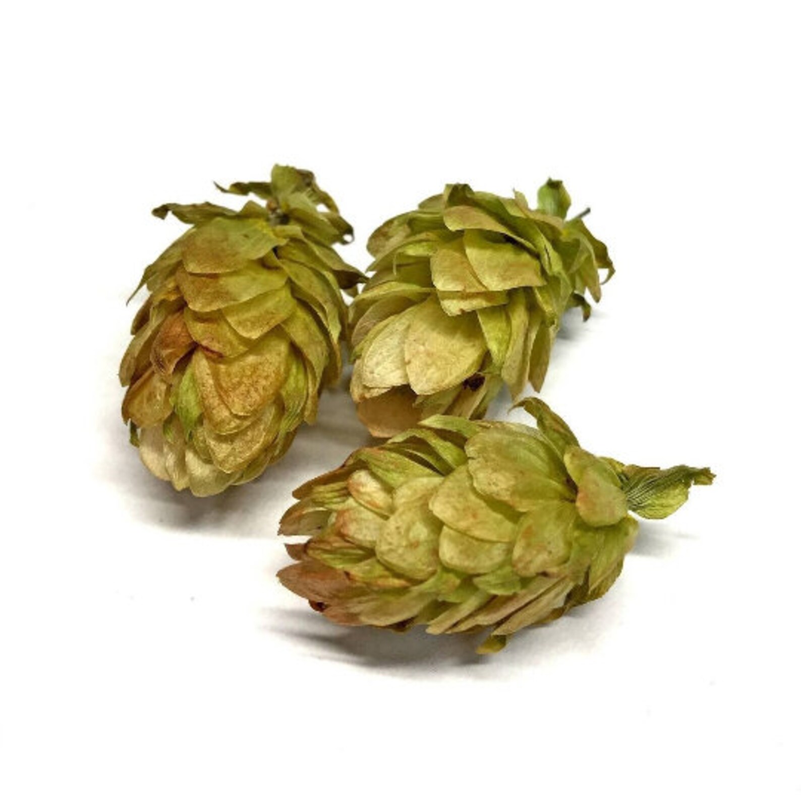 Cônes de houblon fleurs de houblon houblon entier - Etsy France