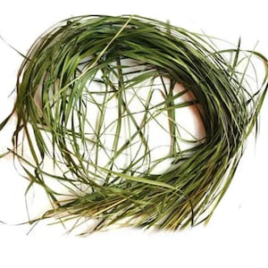 Dried Zubrovka (Bison Grass) – Wild-Harvested, Eco-Friendly Herb for Tea, Culinary & Herbal Use | Handpicked Near Carpathian Mountains