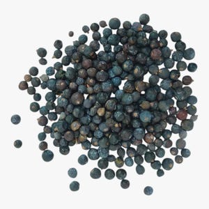 May include: A collection of dried juniper berries, displaying a variety of dark blue, brown, and green tones. The berries are small and spherical, with a slightly textured appearance. The image is a close-up, highlighting the details of the berries.