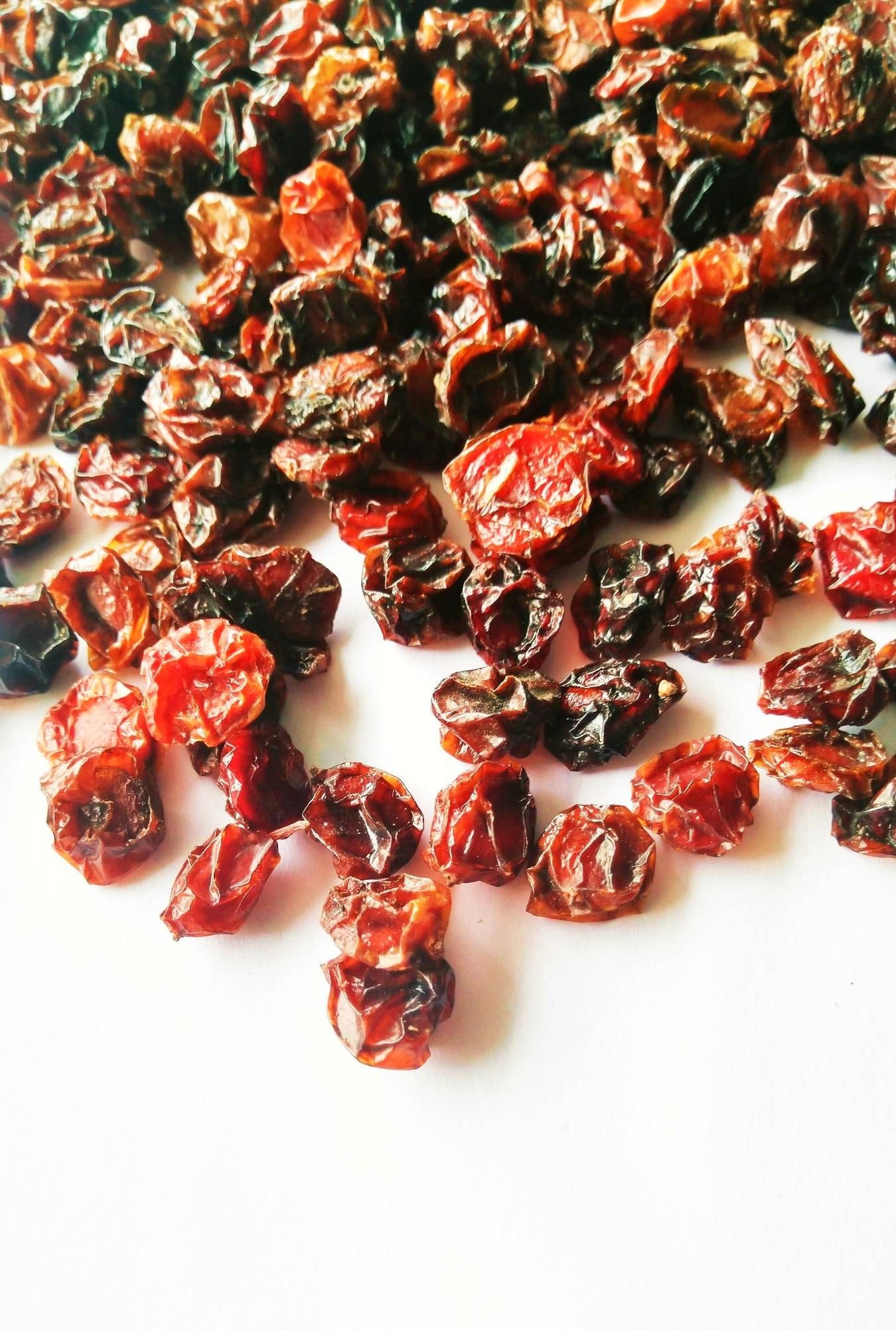 Viburnum berries Viburnum dried berries Guelder rose Dried Etsy 日本