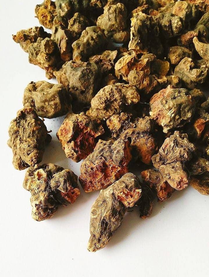 Tormentil (Potentilla Tormentilla), Packet Of 30 Seeds, Organic