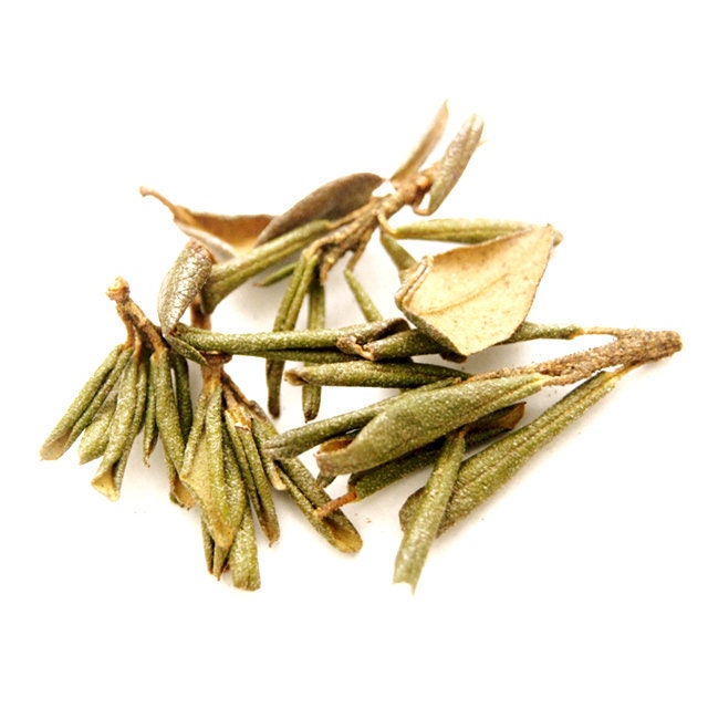 Sagan Dalya Rhododendron Tea: Wild Adamsii Herb - Etsy