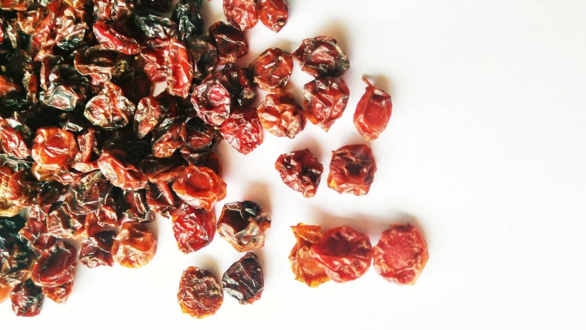 Viburnum berries Viburnum dried berries Guelder rose Dried Etsy 日本