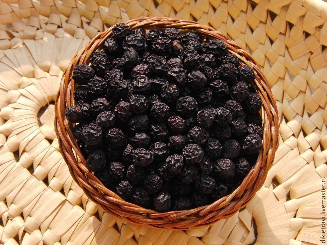 Blackthorn berries 250g8.81oz Dried Blackthorn Sloe Whole Etsy