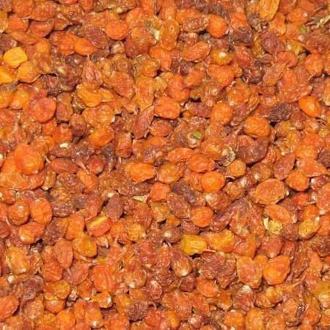 1lb sea buckthorn berries Dried organic sea buckthorn dried Etsy