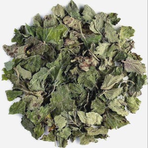 Peut inclure: Un amas de feuilles séchées et froissées de couleur verte, présentant des taches brunes visibles et des bords dentelés. Les feuilles sont disposées en un tas circulaire dense, révélant une variété de textures et de nuances de vert olive et sombre.