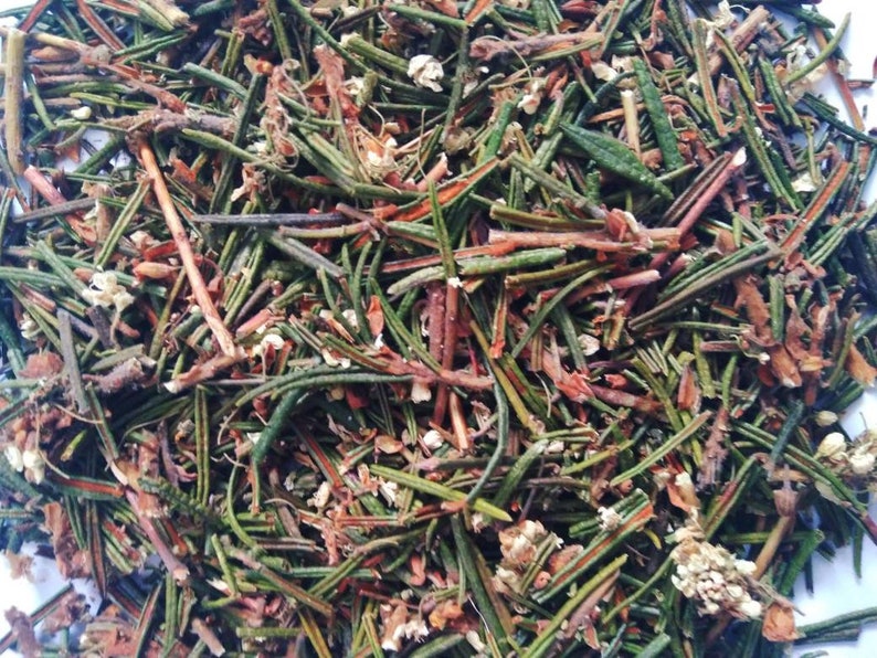 Marsh Labrador, Dried organic herb Ledum Palustre image 3