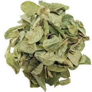 Blueberry Leaves Dried for Tea, Wild Blueberry Leaf, Vaccinium myrtillus