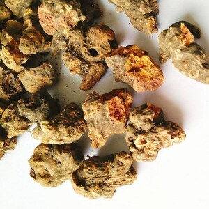 Dried TORMENTIL Root, Potentilla erecta image 3