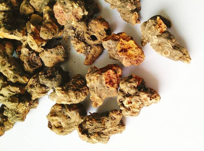 Dried TORMENTIL Root, Potentilla erecta image 3